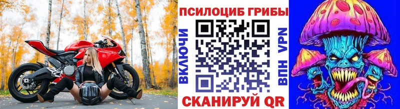 Галлюциногенные грибы мицелий Гусь-Хрустальный