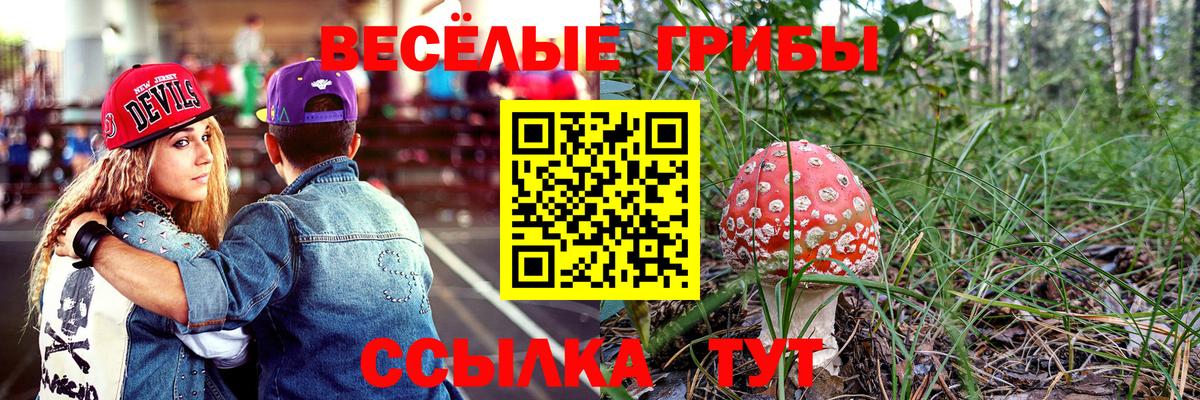 Псилоцибиновые грибы мухоморы  Галлюциногенные грибы мухоморы  Гусь-Хрустальный  Вход с VPN 