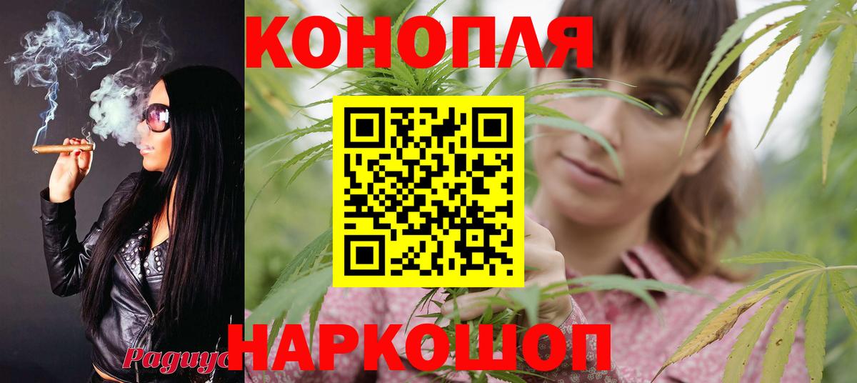 Конопля OG Kush  Вход с VPN  МАРИХУАНА Bruce Banner  Гусь-Хрустальный  Шишки марихуана MAZAR 